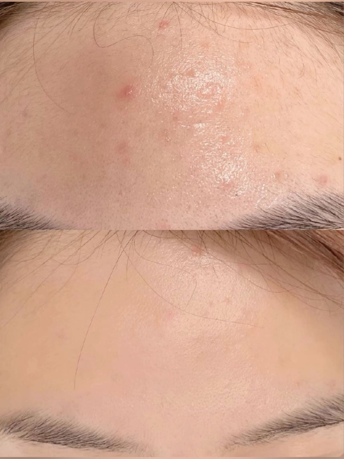 IMG_8378.jpeg__PID:51236b73-eb34-4d15-aed9-10bb90424c0b